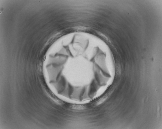 X0000082730766200702232347