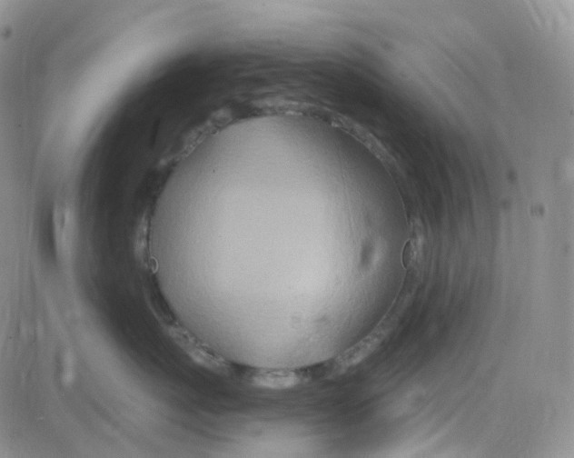 X0000082730767200702232347