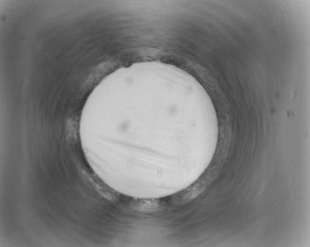 X0000082730768200702232347