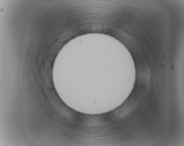 X0000082730769200702232346