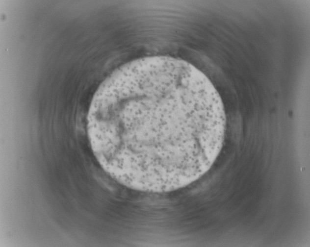 X0000082730770200702232346