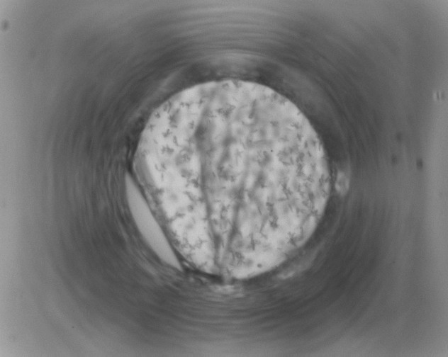 X0000082730771200702232346