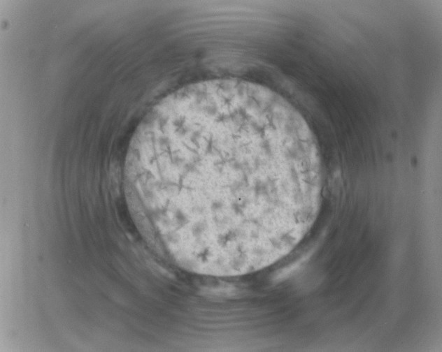 X0000082730772200702232346