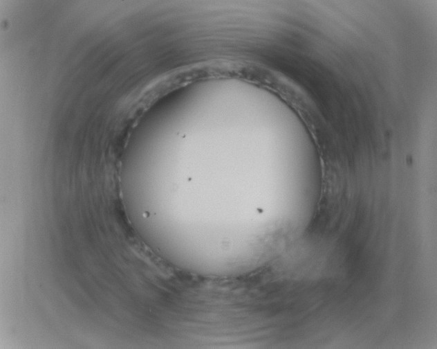 X0000082730773200702232346