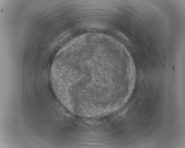 X0000082730774200702232346