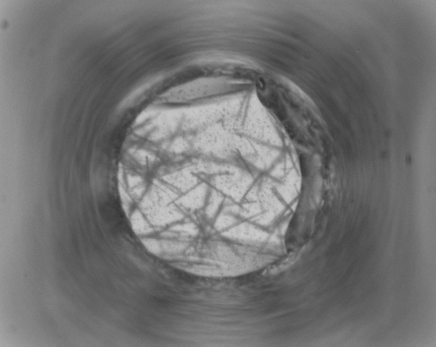 X0000082730775200702232346