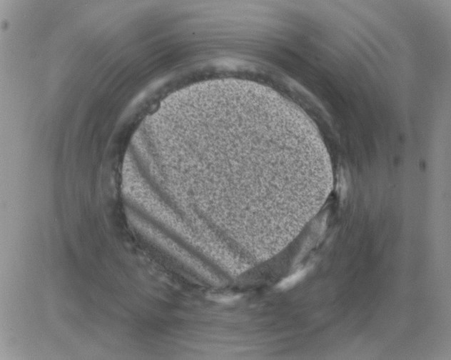 X0000082730776200702232346