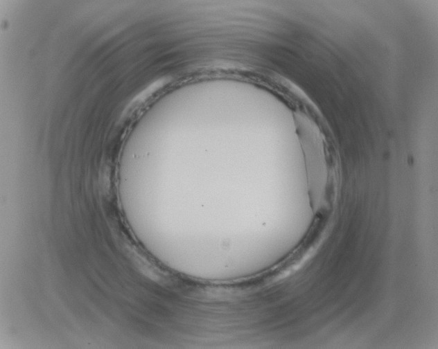 X0000082730777200702232346