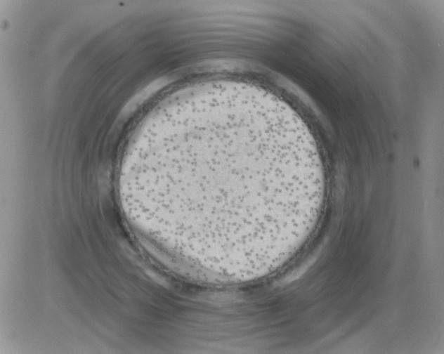 X0000082730778200702232346