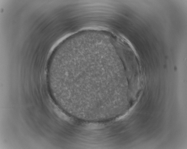 X0000082730779200702232346