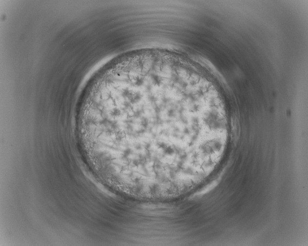 X0000082730780200702232346