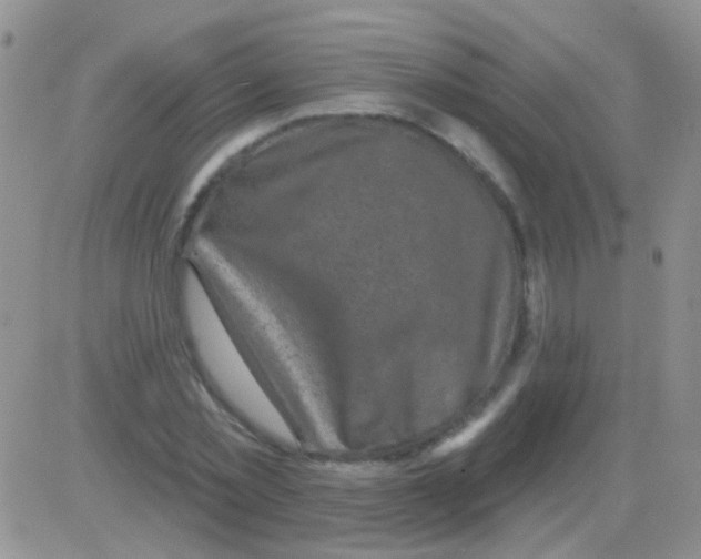 X0000082730781200702232346