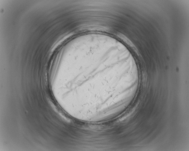 X0000082730782200702232346