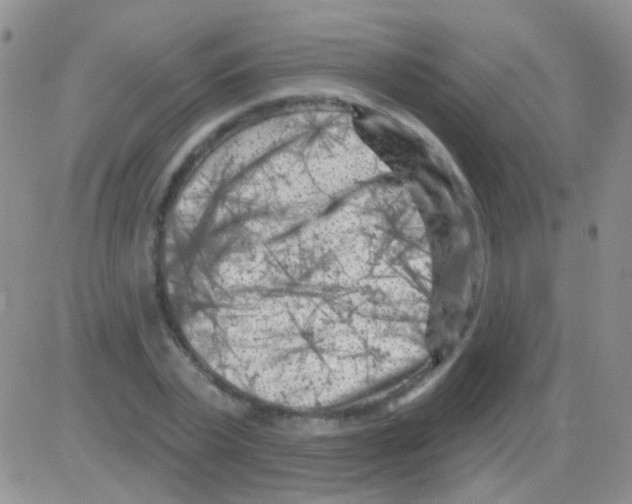 X0000082730783200702232346