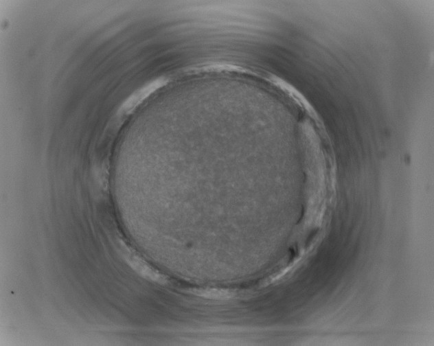 X0000082730785200702232346