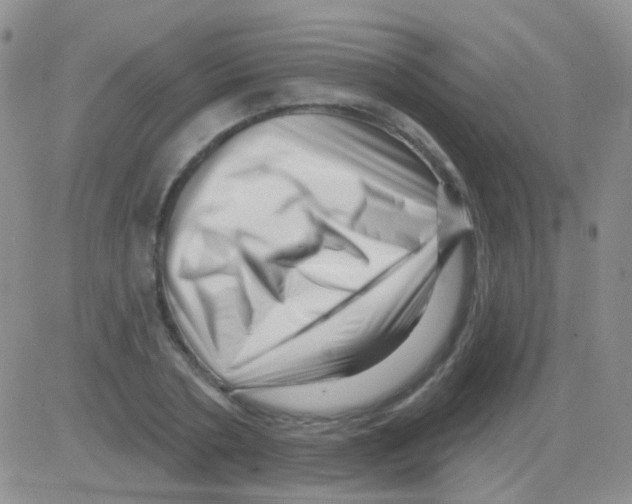 X0000082730786200702232346