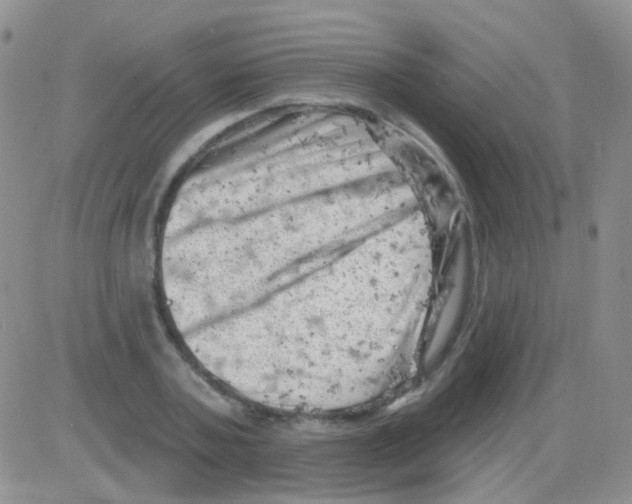 X0000082730787200702232346