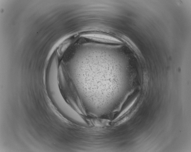 X0000082730788200702232346