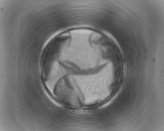 X0000082730789200702232346