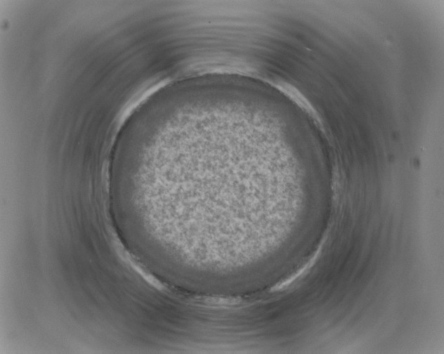 X0000082730790200702232346