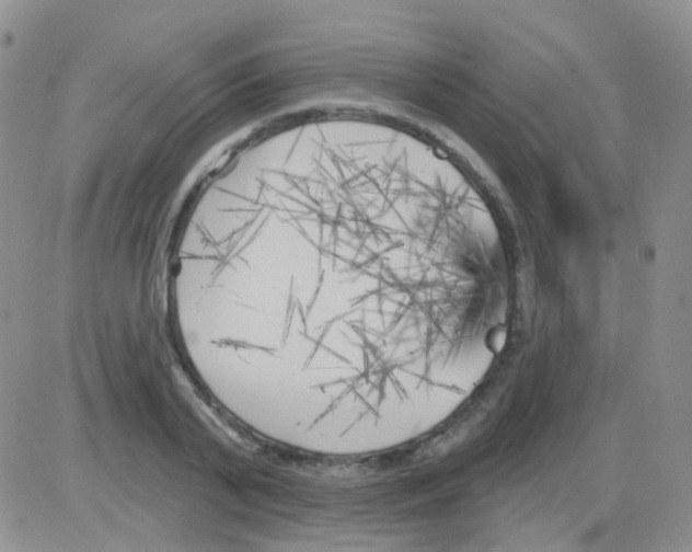 X0000082730791200702232346