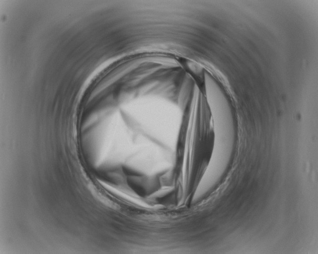 X0000082730792200702232346