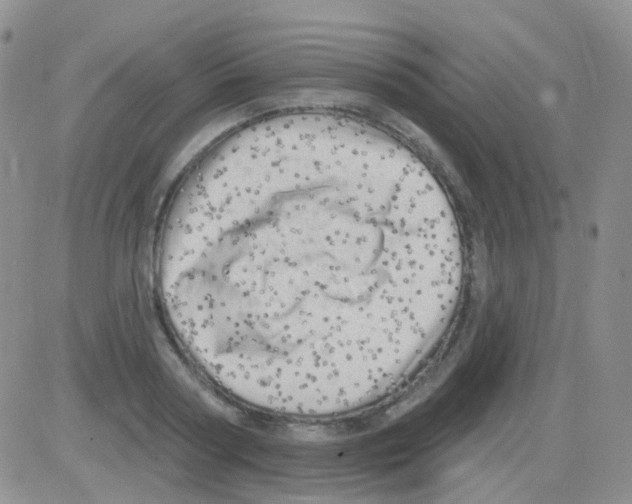 X0000082730794200702232346