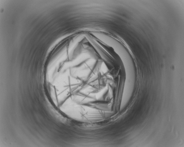 X0000082730795200702232346