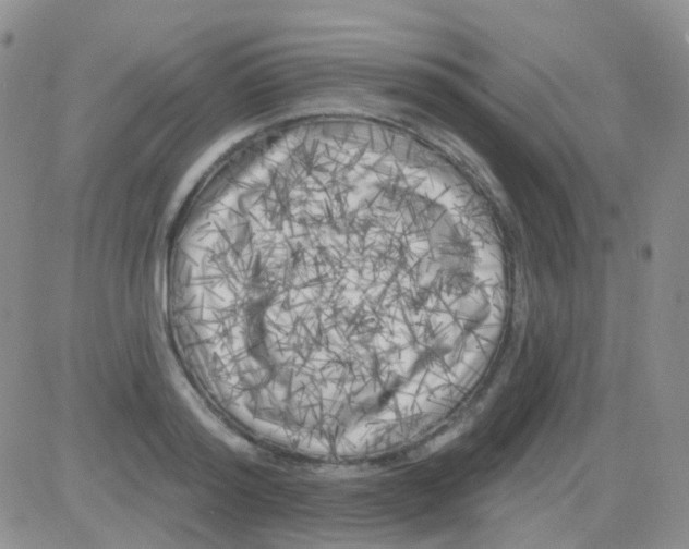 X0000082730796200702232346