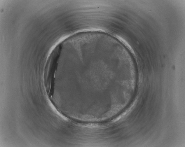 X0000082730797200702232346