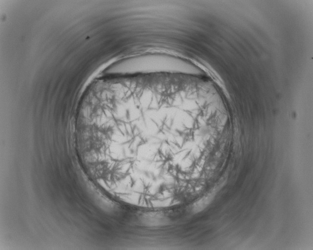 X0000082730798200702232346