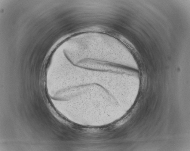 X0000082730800200702232346