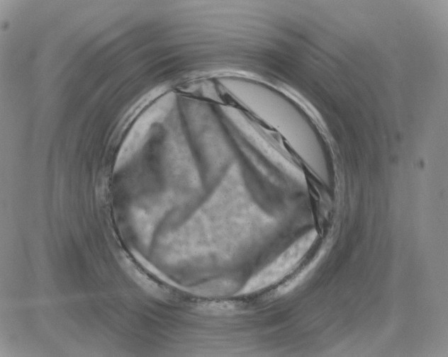 X0000082730801200702232346