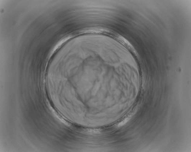 X0000082730802200702232346