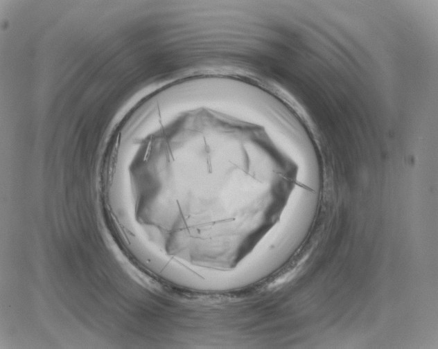 X0000082730803200702232346