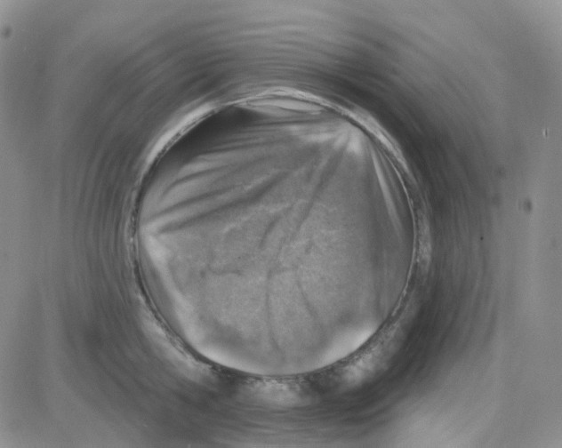 X0000082730806200702232345