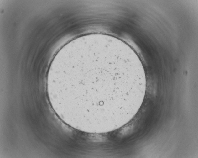 X0000082730807200702232345