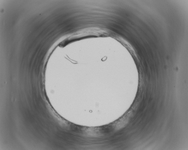 X0000082730808200702232345