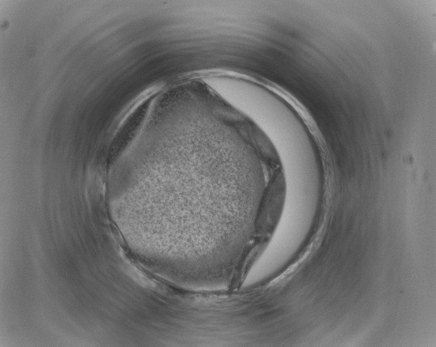 X0000082730809200702232345