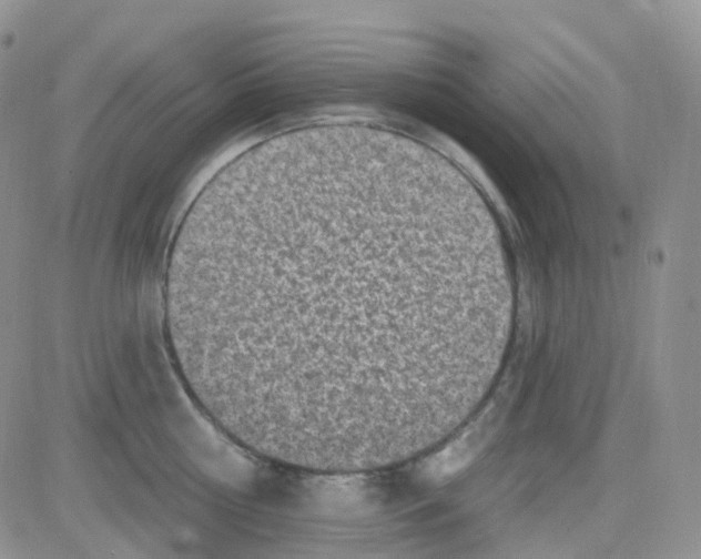 X0000082730810200702232345