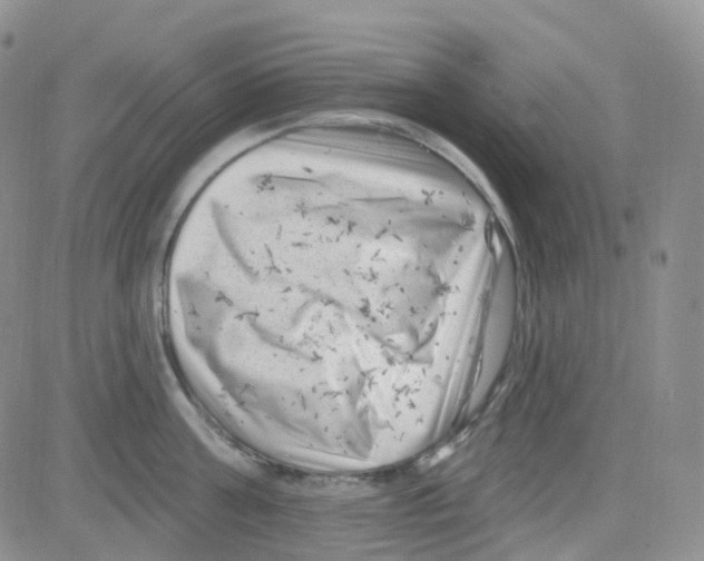 X0000082730811200702232345