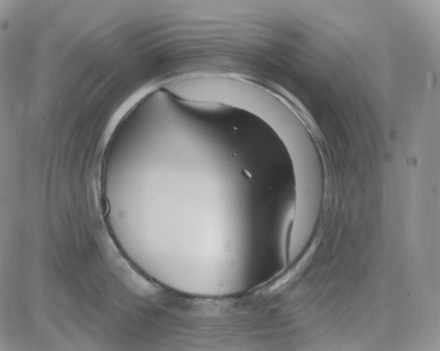 X0000082730812200702232345