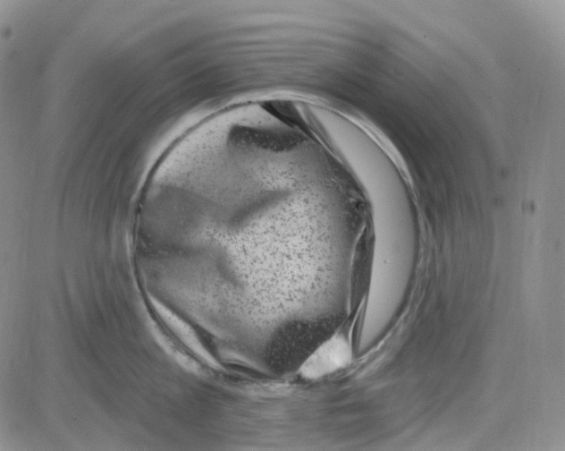 X0000082730813200702232345