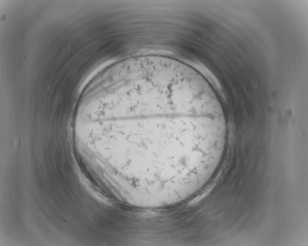 X0000082730814200702232345