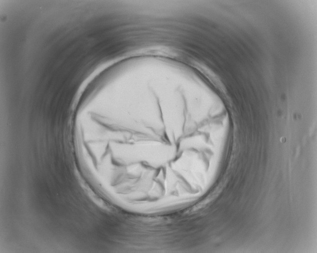 X0000082730816200702232345