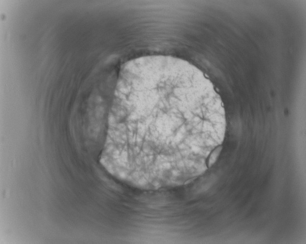 X0000082730817200702232345