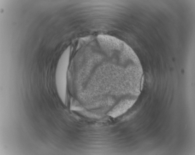 X0000082730818200702232345