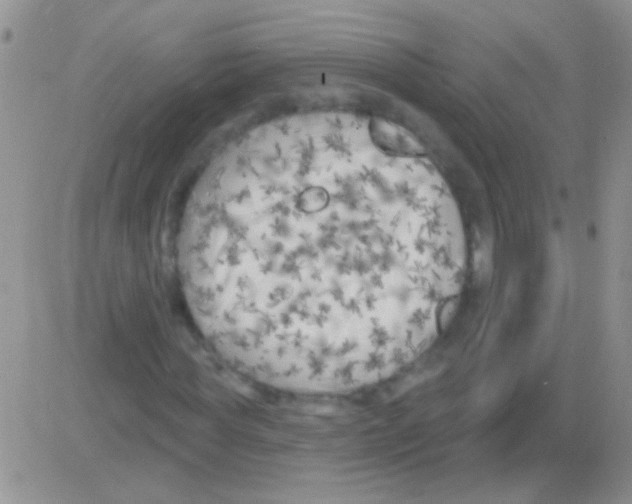 X0000082730819200702232345