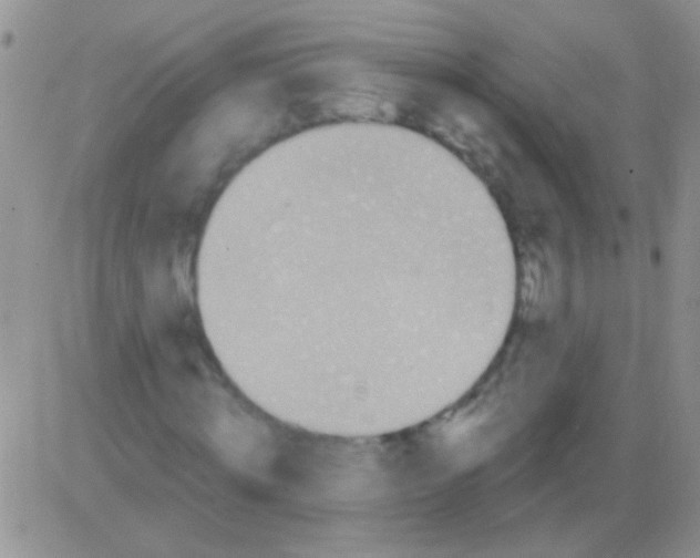 X0000082730820200702232345