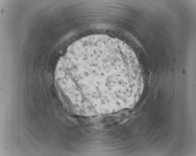 X0000082730821200702232345